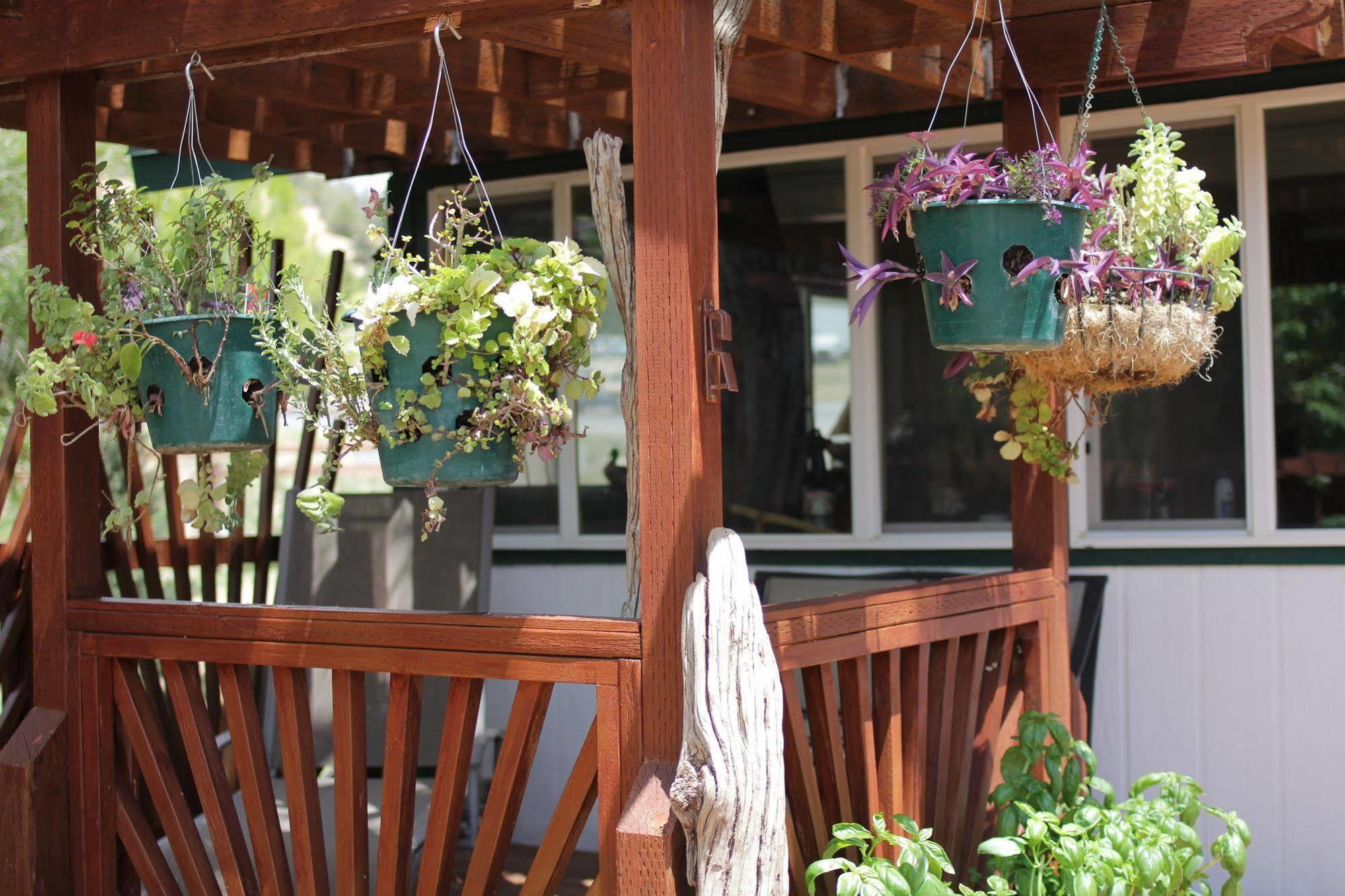 Historic Smith Hotel B&B Glendale Buitenkant foto